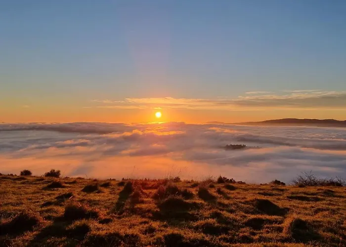 Aorangi Peak 6 By Tiny Away Ferienhaus Rotorua